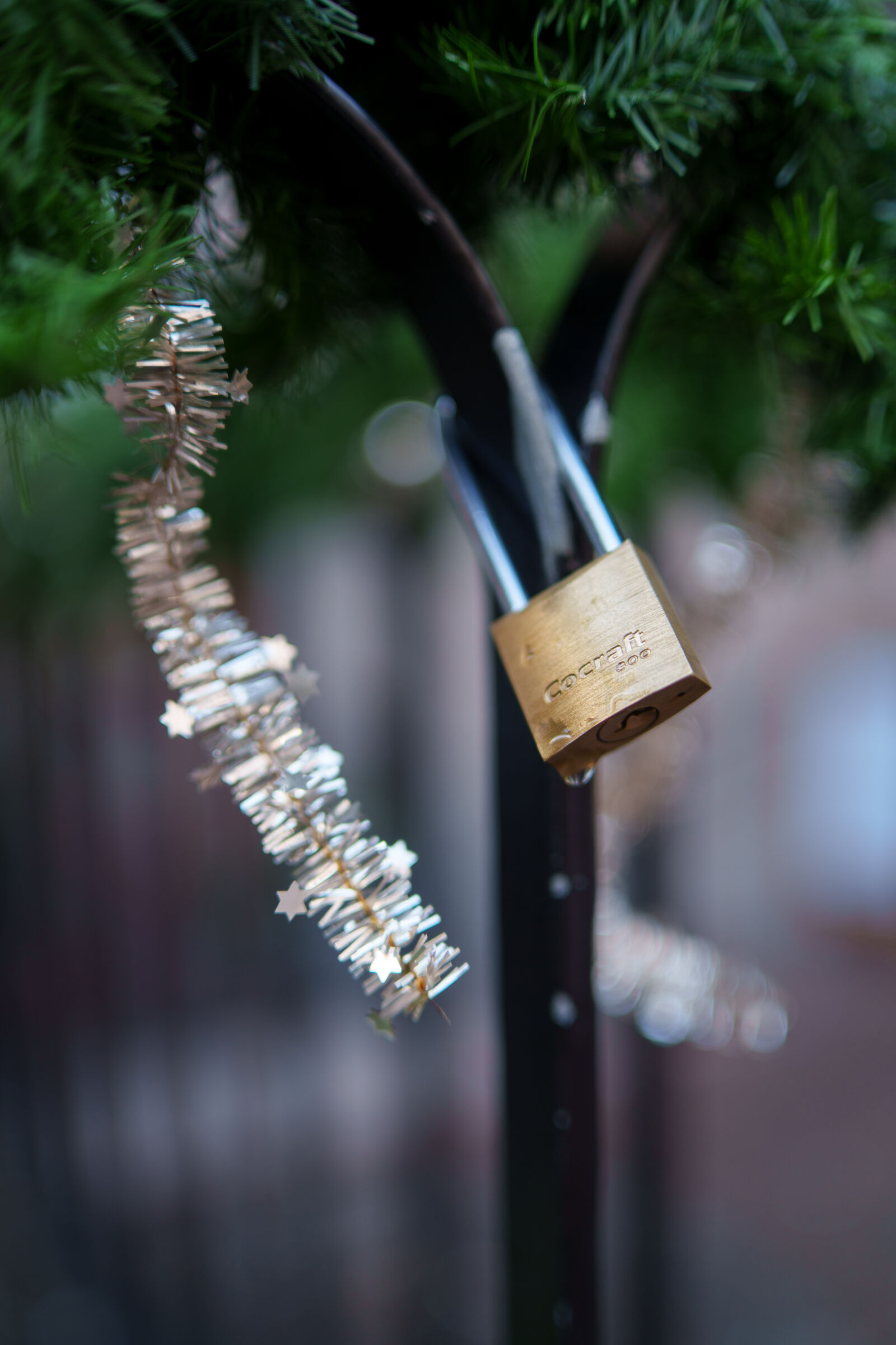 Samyang AF 35mm F1.4 P sample photo. Seasonal padlock photography