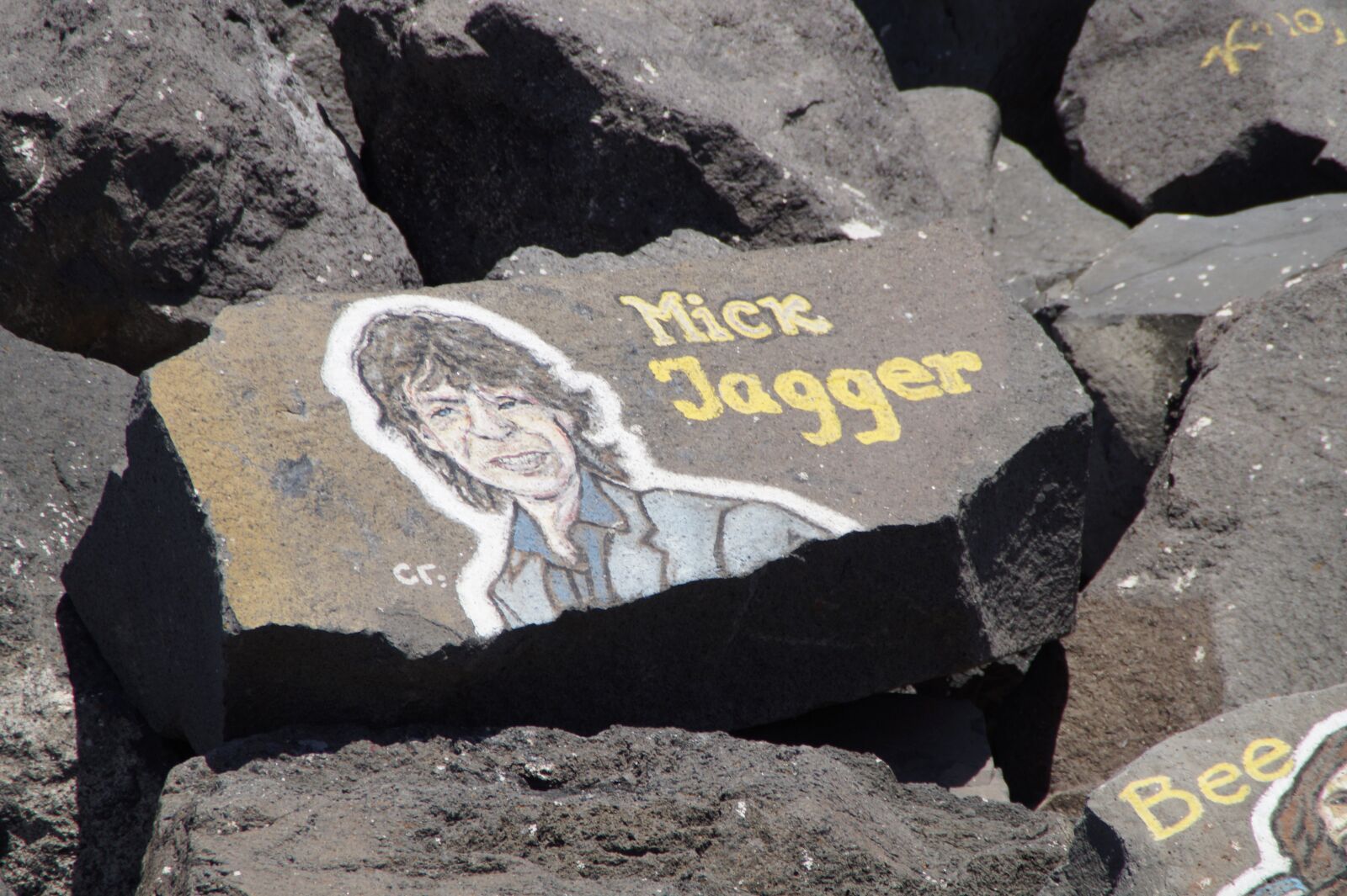 Sony SLT-A58 sample photo. Mick jagger, musician, art photography