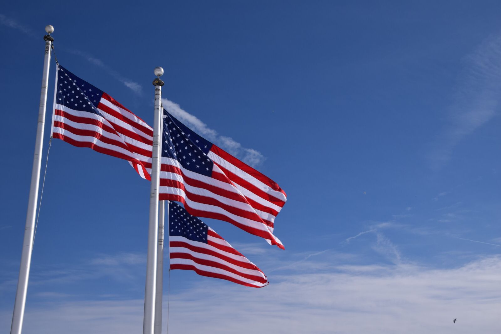 Nikon D5300 sample photo. Flag, patriotism, flagpole photography