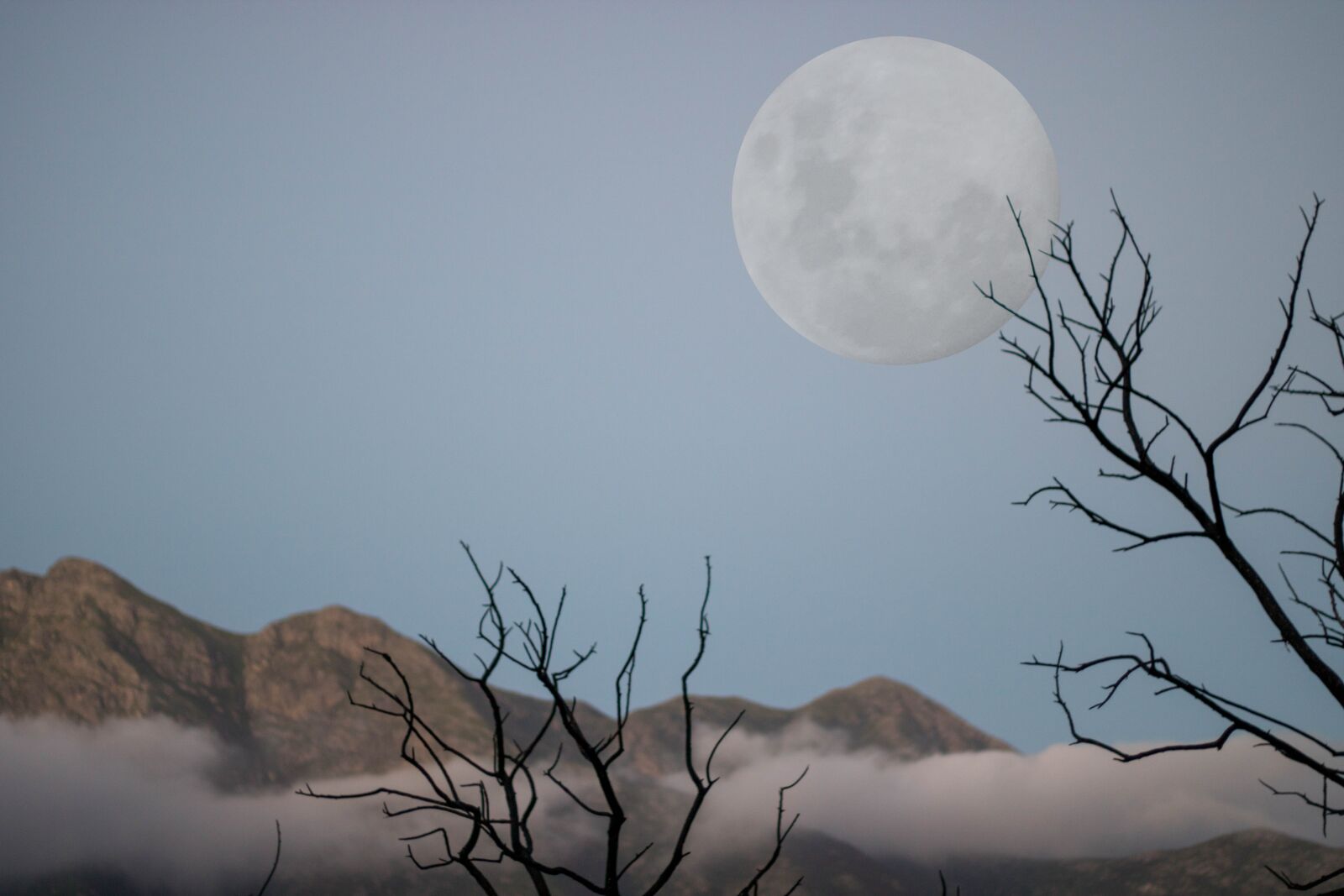 Canon EF 50mm F1.8 II sample photo. Moon, mountain, tree photography