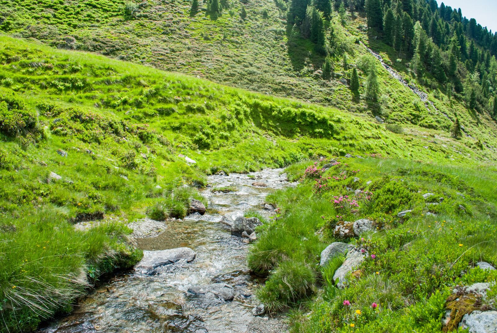 Nikon D60 sample photo. Mountains, hiking, bach photography