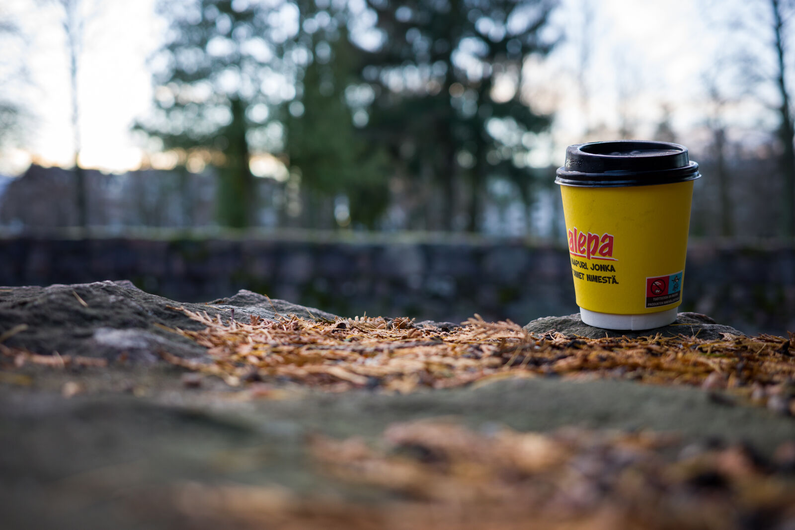 Ricoh GR IIIx sample photo. Littering wall photography