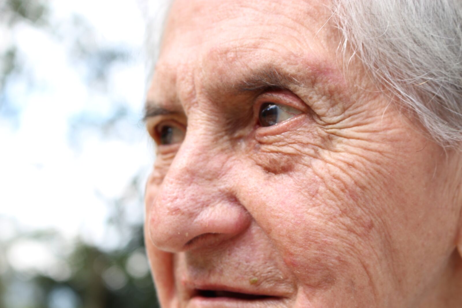 Canon EOS 700D (EOS Rebel T5i / EOS Kiss X7i) sample photo. Face, old, portrait photography