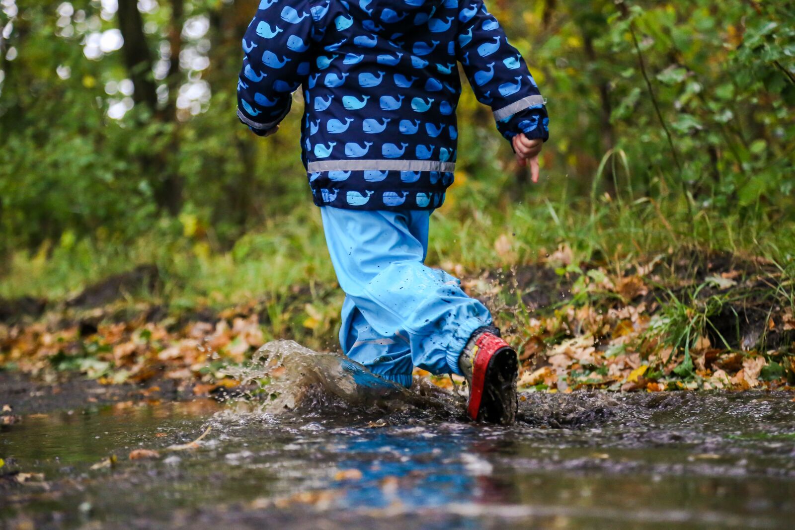 Canon EOS 6D + Canon EF 24-105mm F4L IS USM sample photo. Boy, puddle, autumn photography
