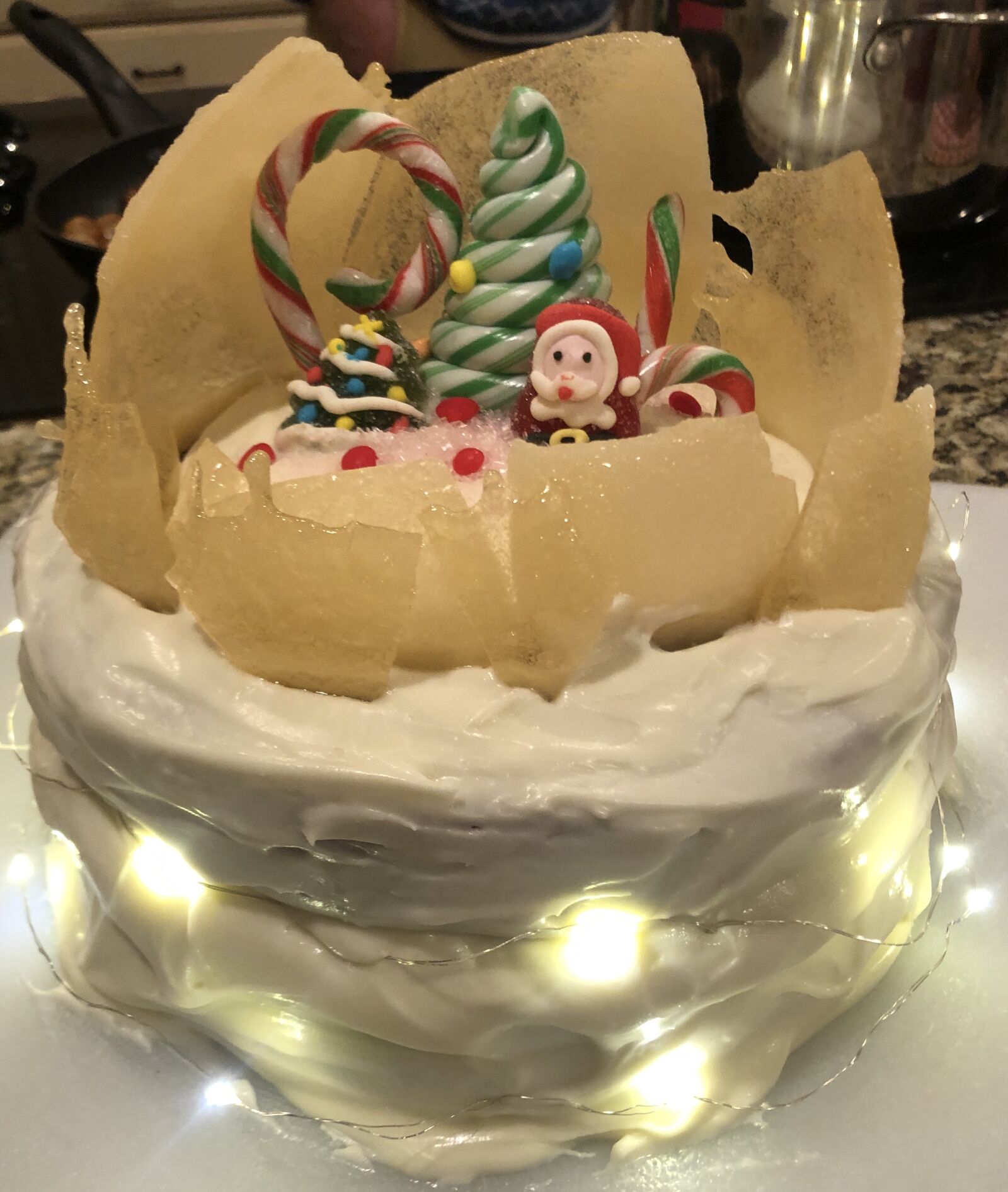 iPhone X back dual camera 4mm f/1.8 sample photo. Cake, holiday, christmas photography