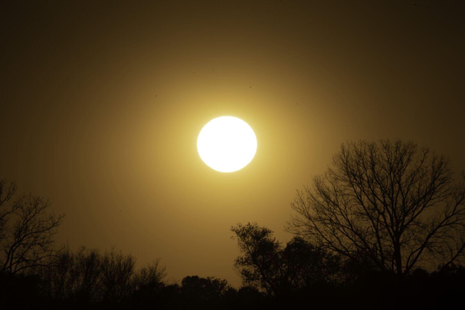 Nikon D750 sample photo. Sun, sky, afternoon photography
