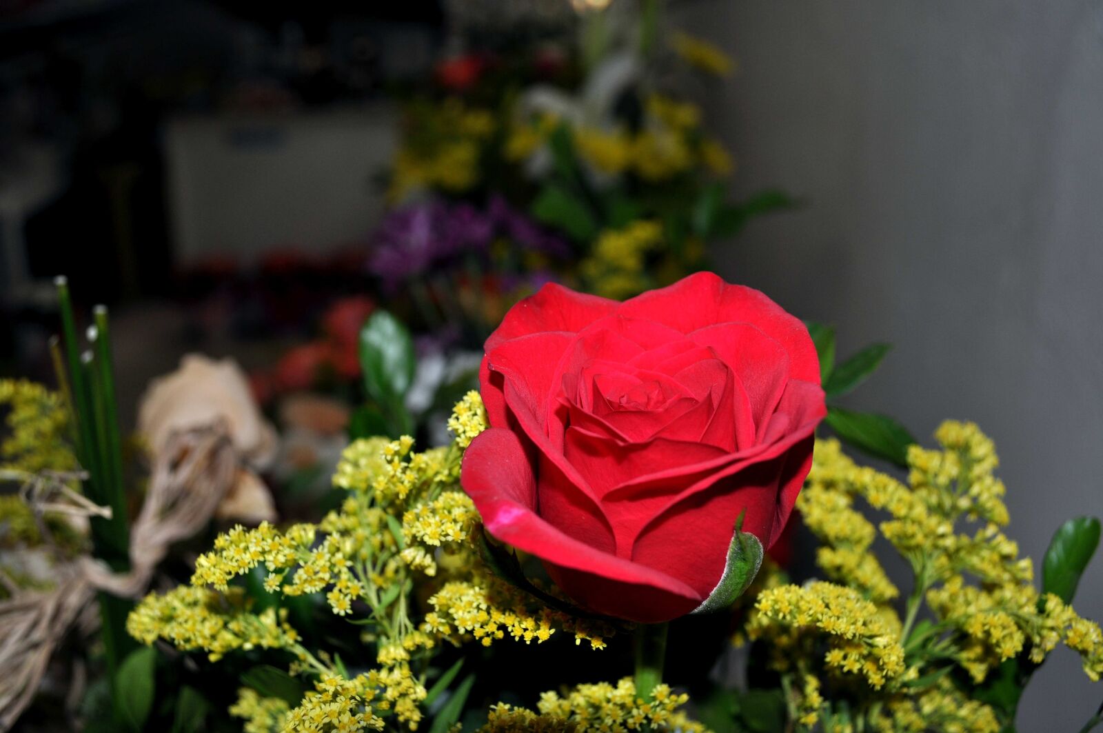 Nikon D5000 sample photo. Bouquet, red, roses, flowers photography