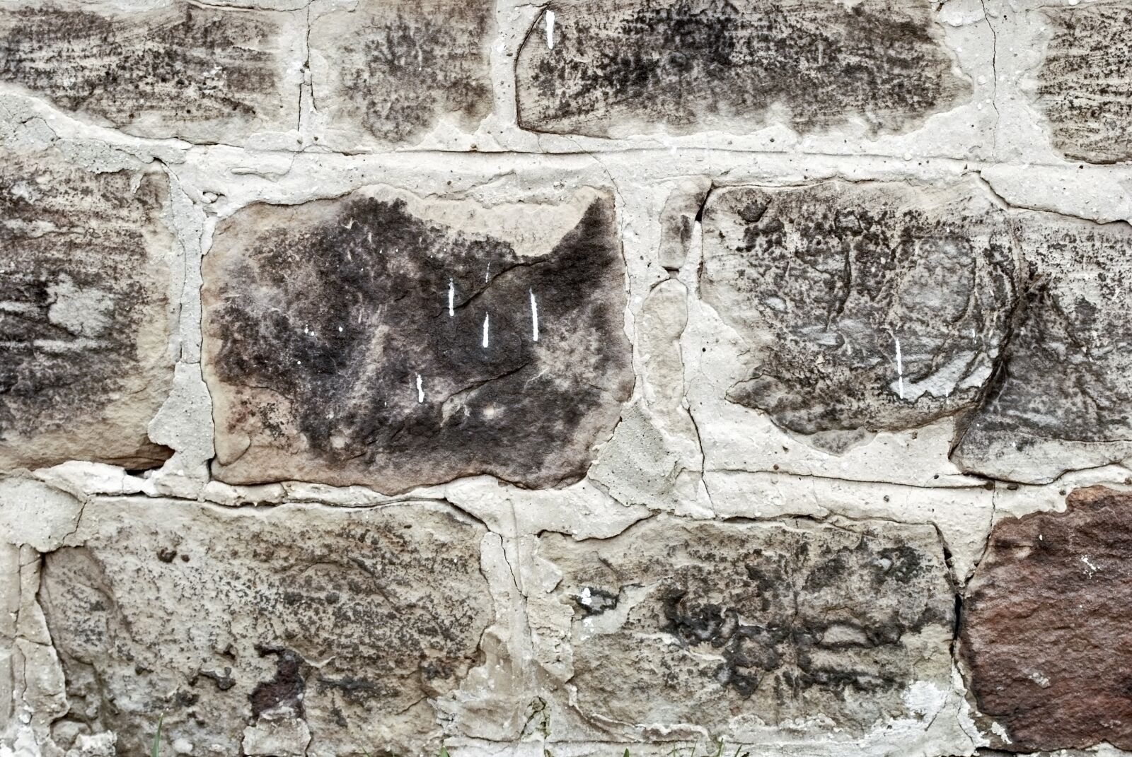 Nikon D60 sample photo. Backdrop, wall, brick photography