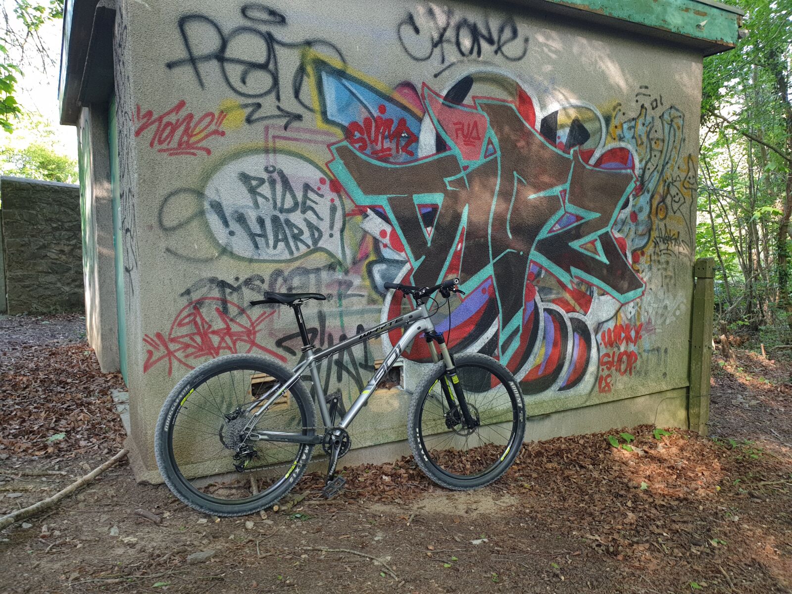Samsung Galaxy S9+ sample photo. Bicycle, mtb, graffiti photography