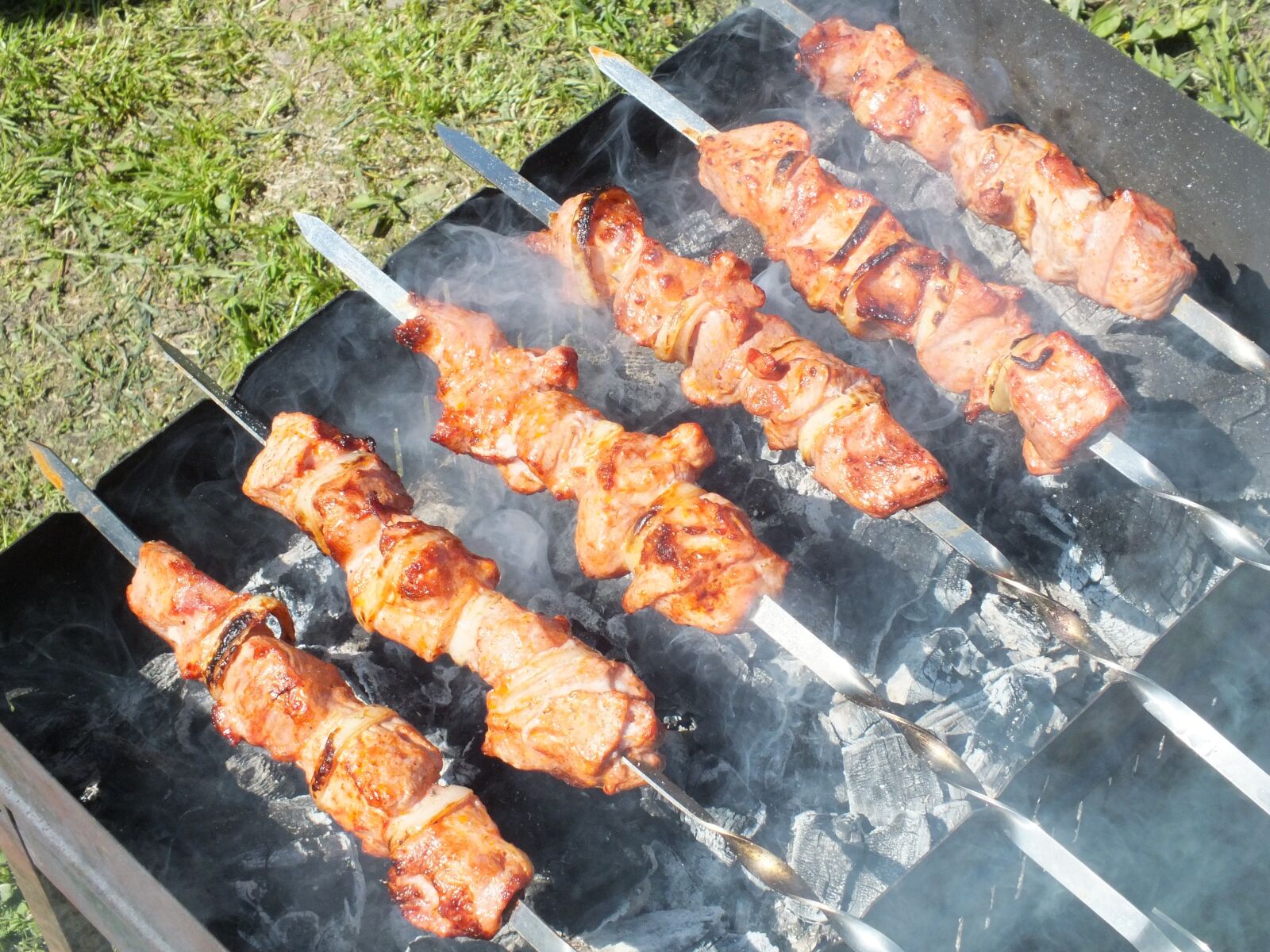 Fujifilm FinePix HS30EXR sample photo. Shish kebab, summer, fire photography