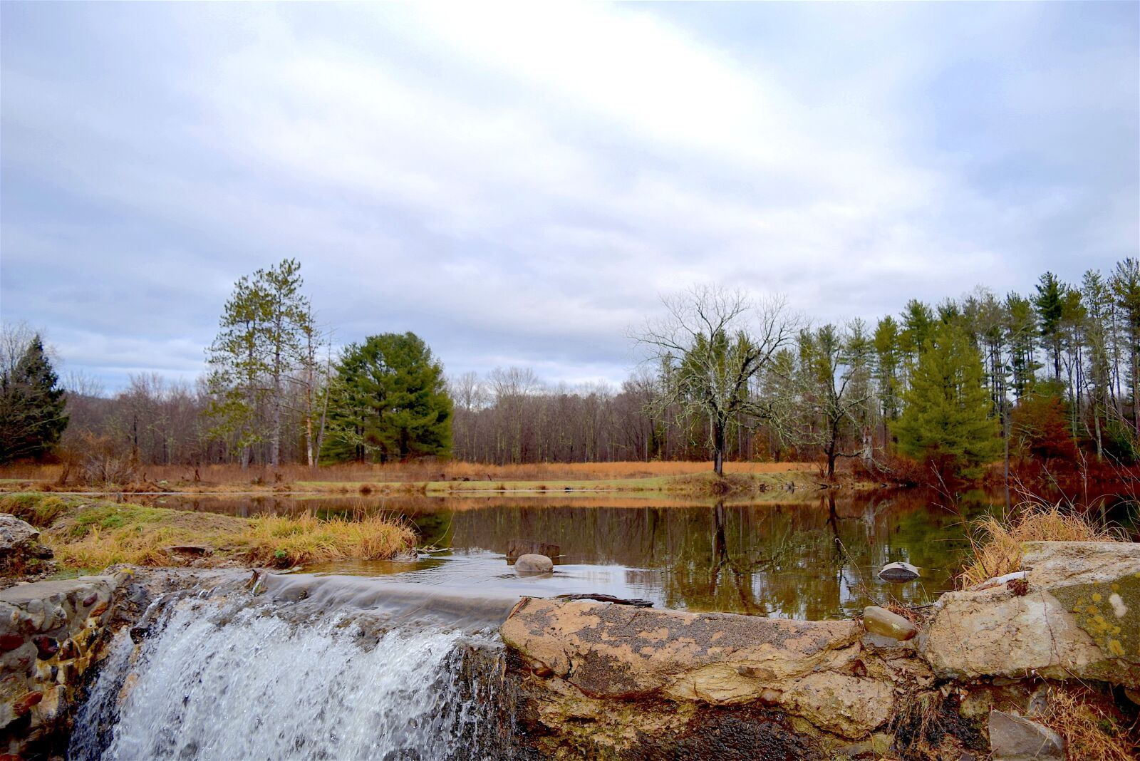 Nikon D3300 sample photo. Pond, forest, nature photography
