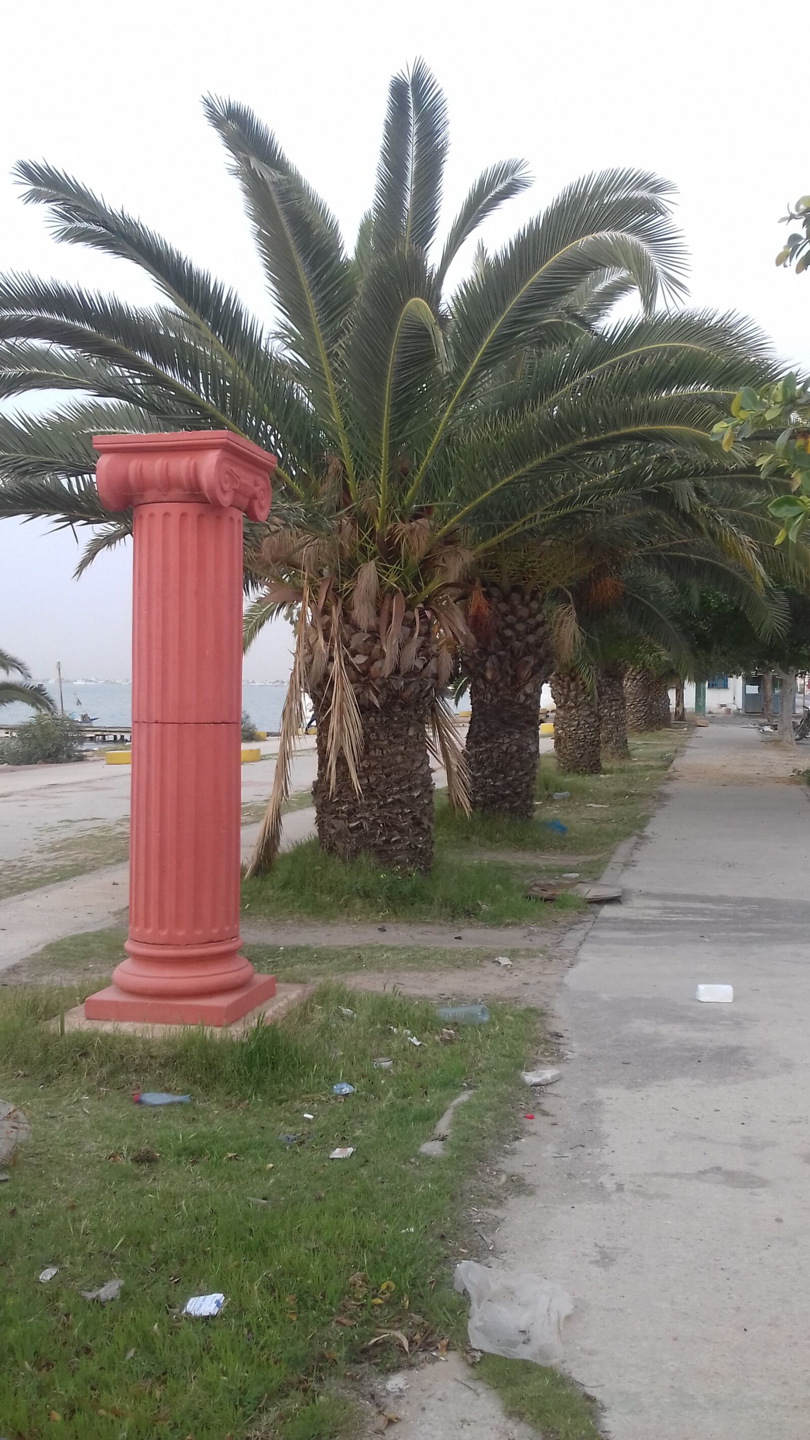 Samsung Galaxy Grand Prime sample photo. Palm 4, sfax, tunisia photography