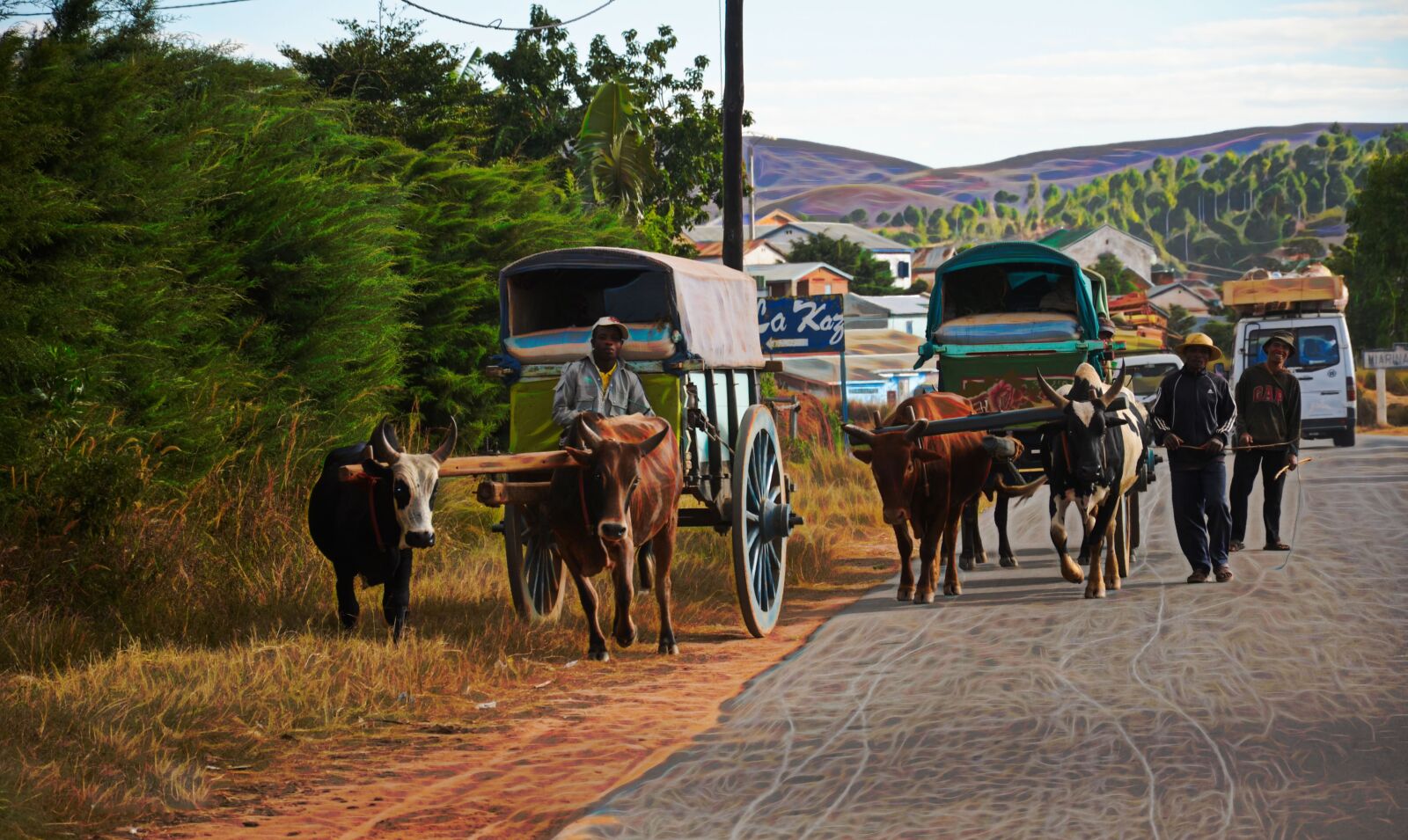 Nikon D5100 sample photo. Zebu, cart, village photography