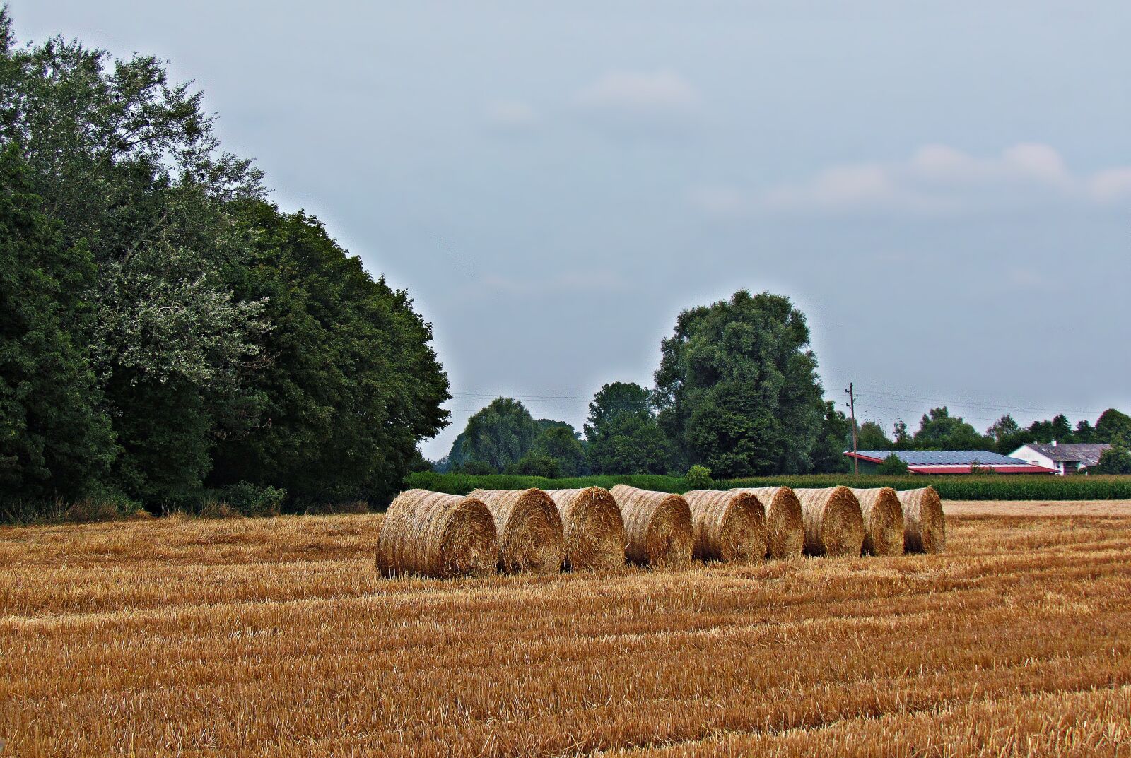 Canon PowerShot SX30 IS sample photo. Field, haymaking, grass photography