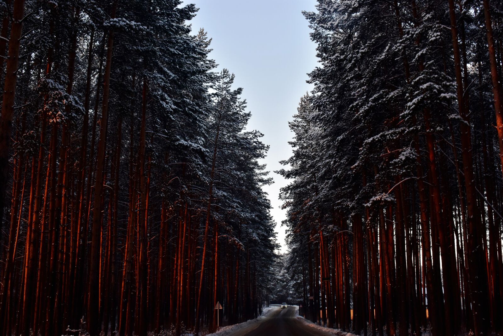 Nikon D3400 sample photo. Nature, road, snow covered photography