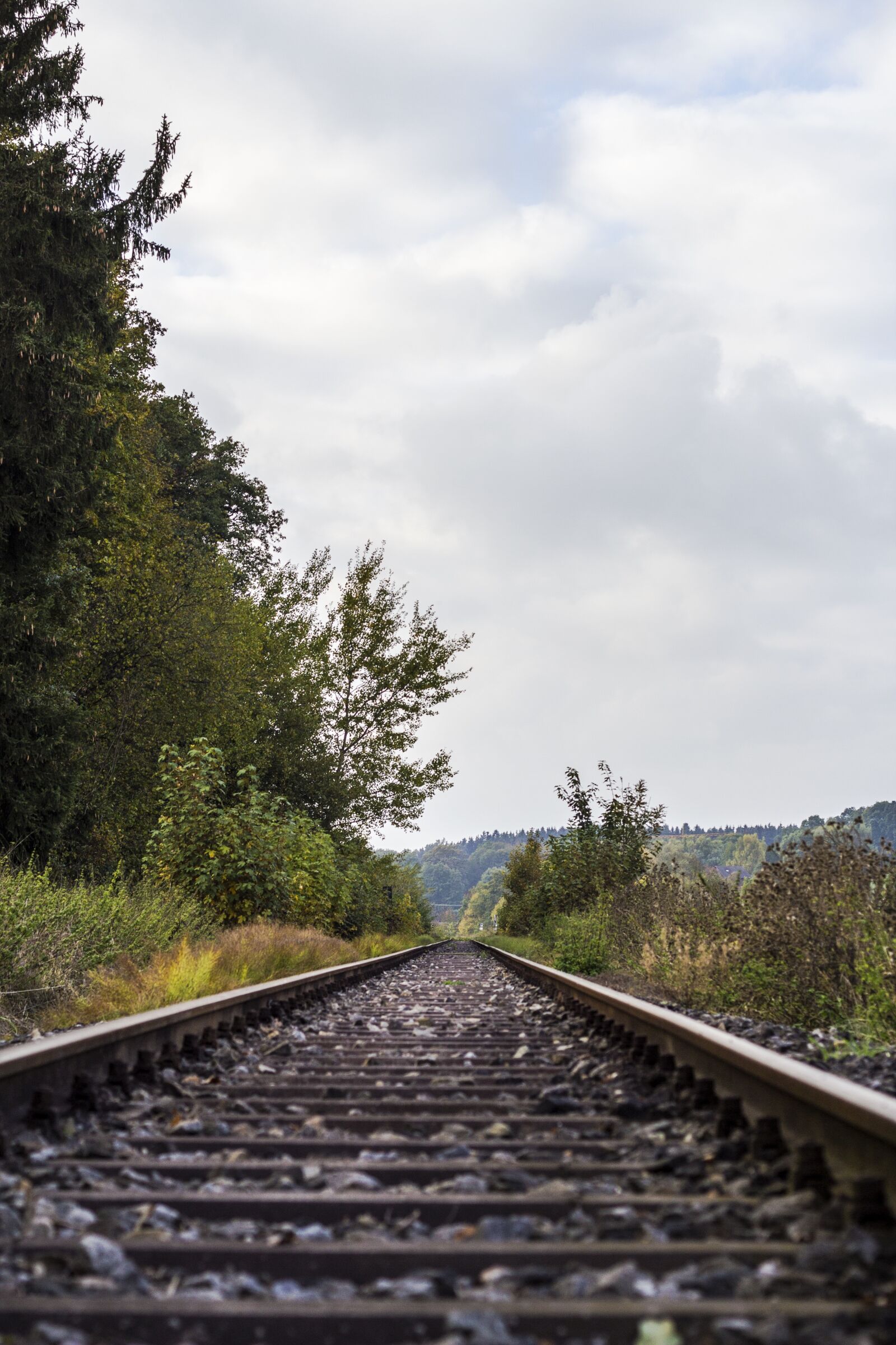 Canon EOS 600D (Rebel EOS T3i / EOS Kiss X5) + Canon EF 50mm F1.8 II sample photo. Railway rails, railway tracks photography
