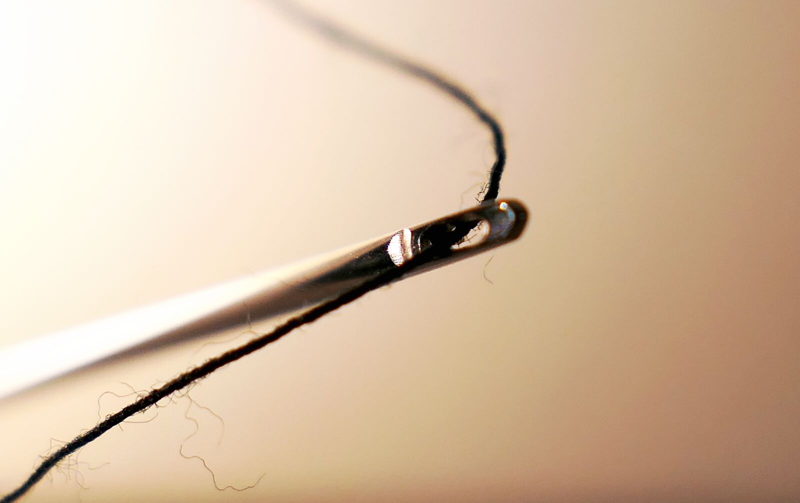 Panasonic Lumix DMC-LX10 (Lumix DMC-LX15) sample photo. Needle, thread, yarn photography