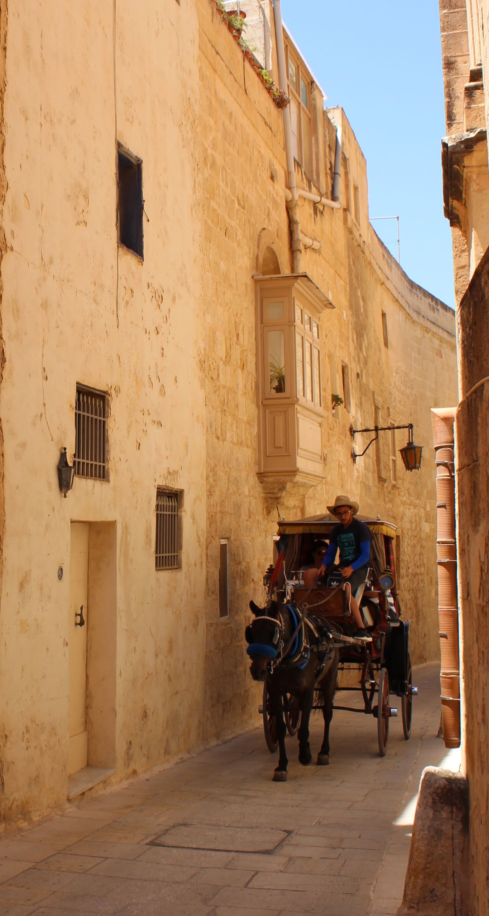 Canon EOS 650D (EOS Rebel T4i / EOS Kiss X6i) sample photo. Transport, horse cart, driver photography