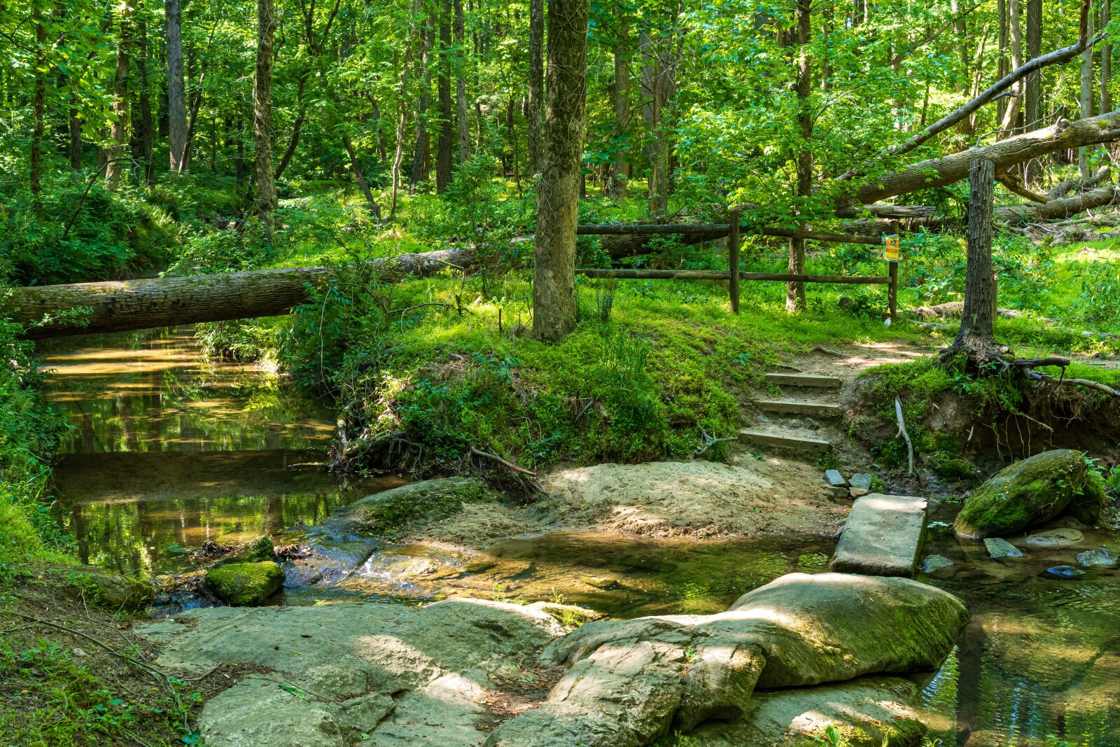 Sony E 35mm F1.8 OSS sample photo. Forest trail, stream crossing photography