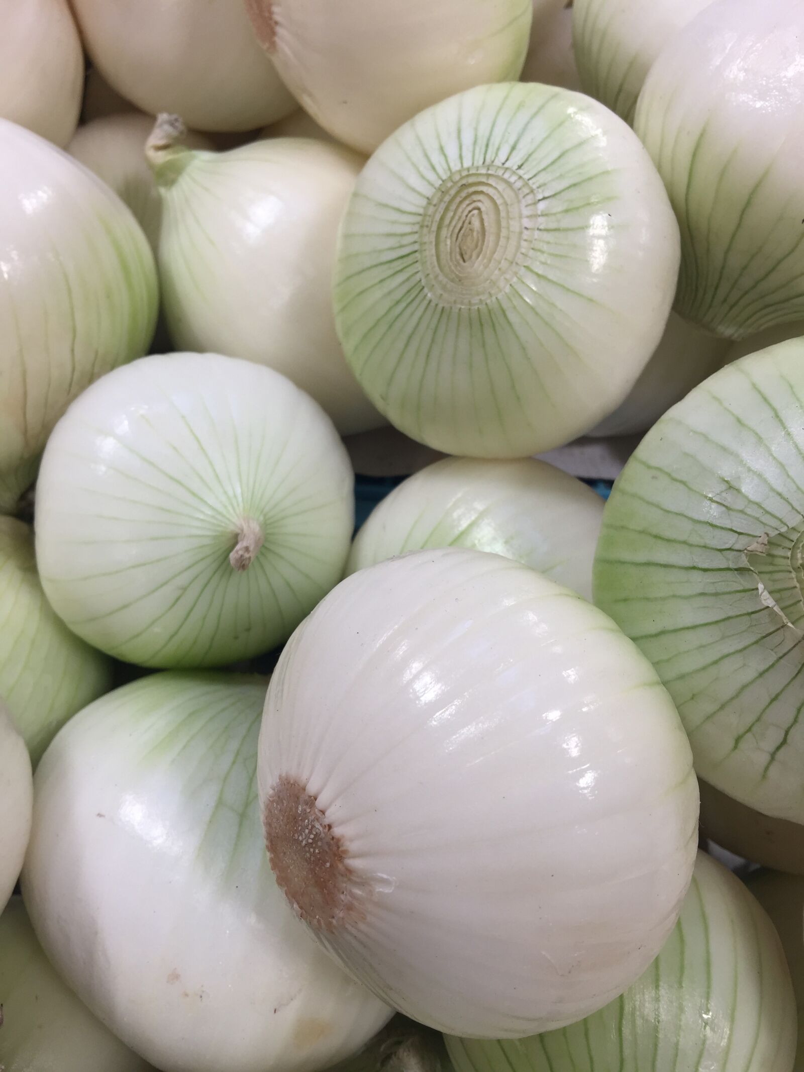 iPhone 6 Plus back camera 4.15mm f/2.2 sample photo. Kitchen, vegetable, onion photography