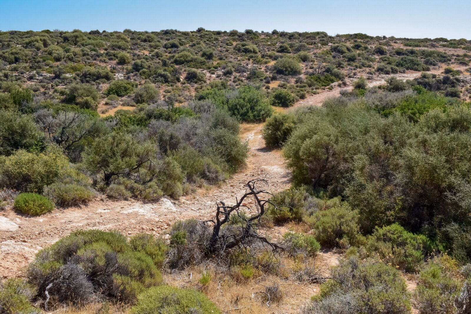 Nikon D3300 sample photo. Cyprus, melanta, path photography
