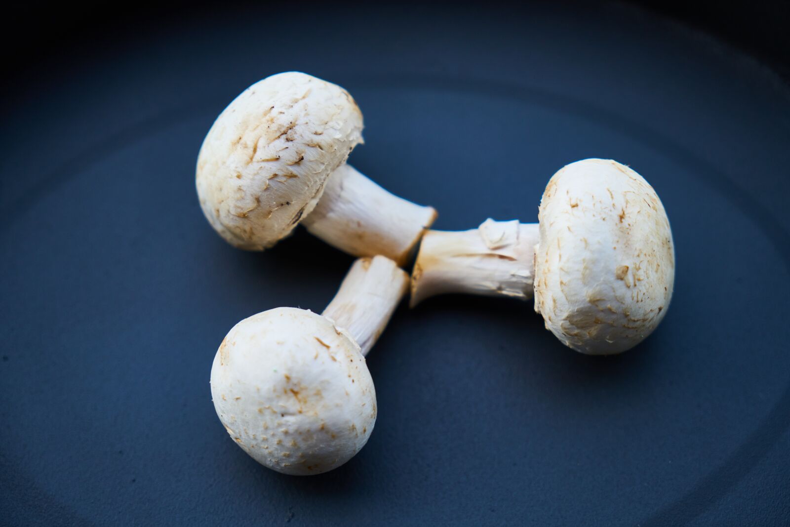 Sony a7R II sample photo. Mushrooms, mushroom, white photography