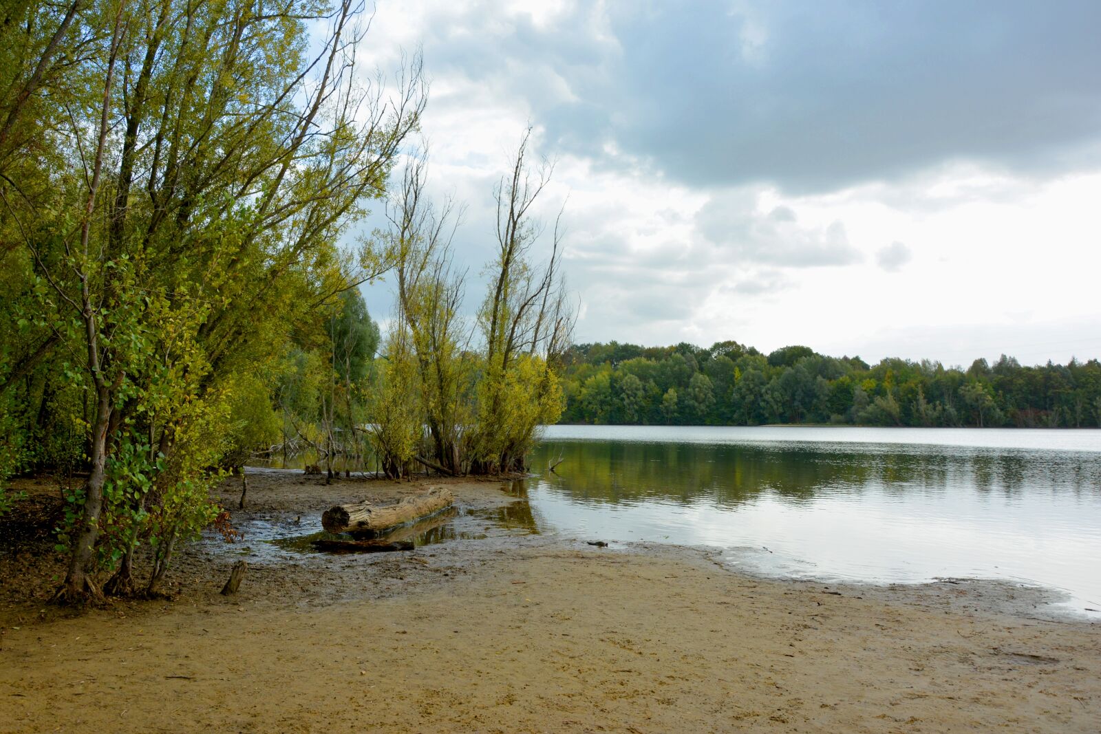 Nikon D5200 sample photo. Forest, water, mangroves photography