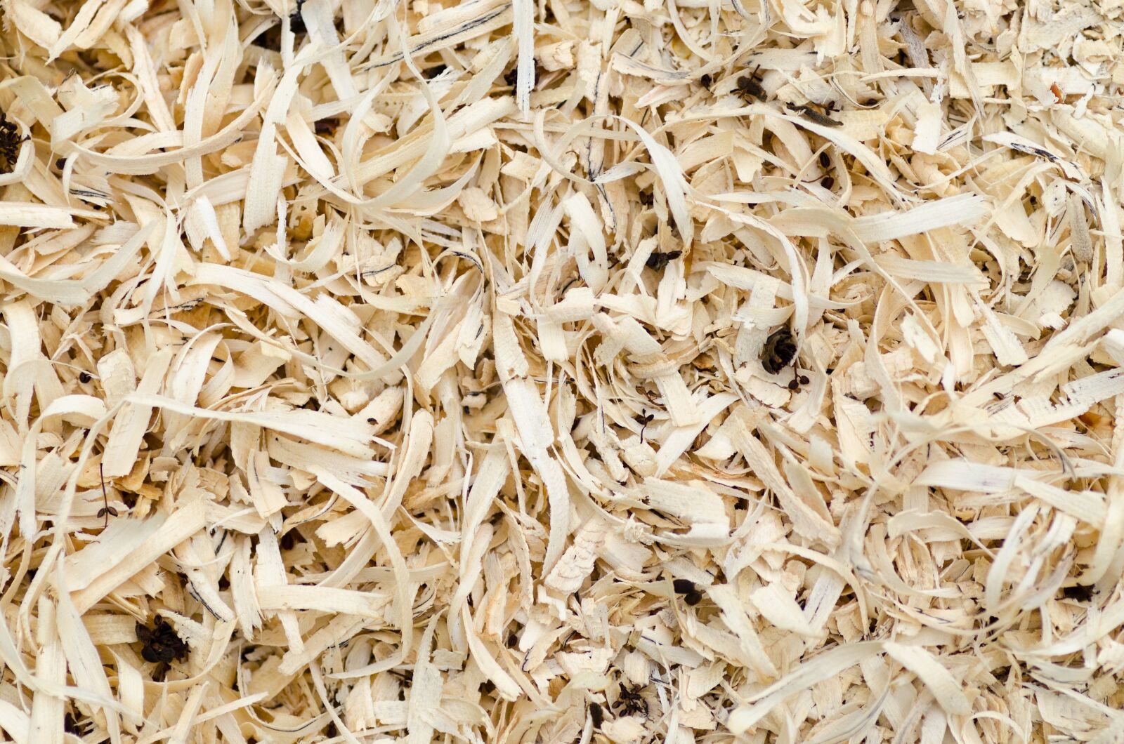 Nikon D5100 sample photo. Wood, sawdust, texture photography