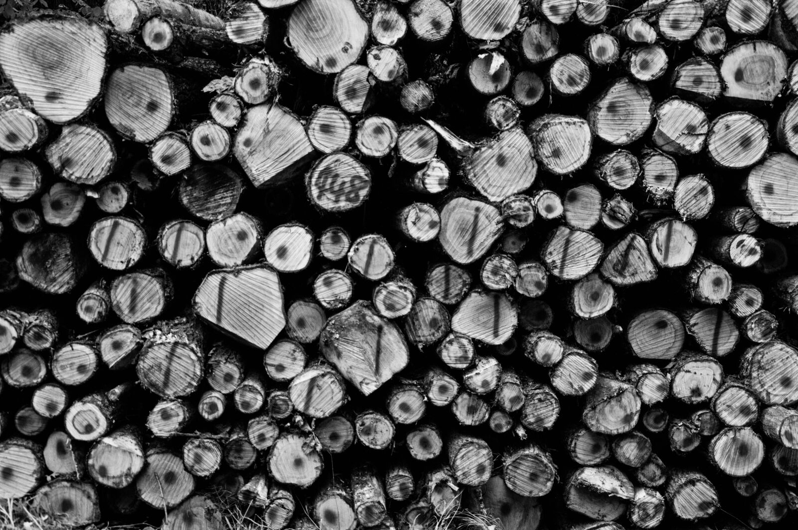 Nikon D3200 sample photo. Stack, wood, firewood photography