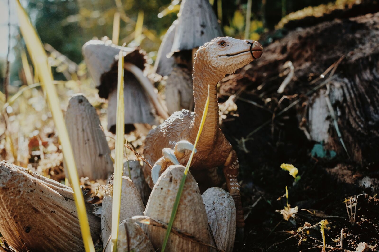 Fujifilm X-T20 sample photo. Dinosaur, forest, dino photography