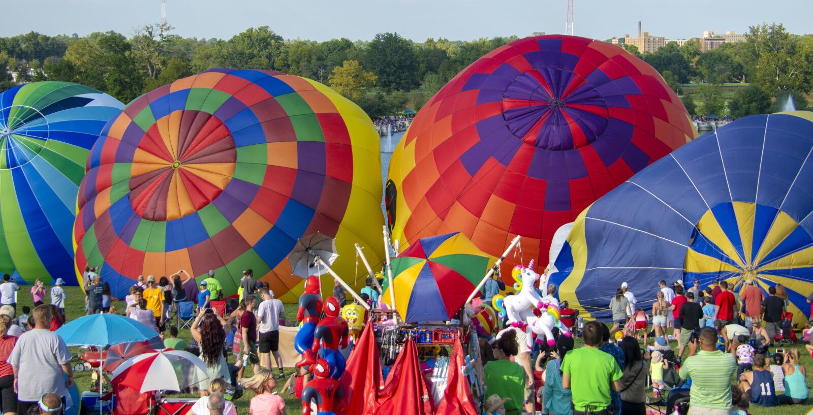 Nikon D850 sample photo. Hot air balloon, balloon photography