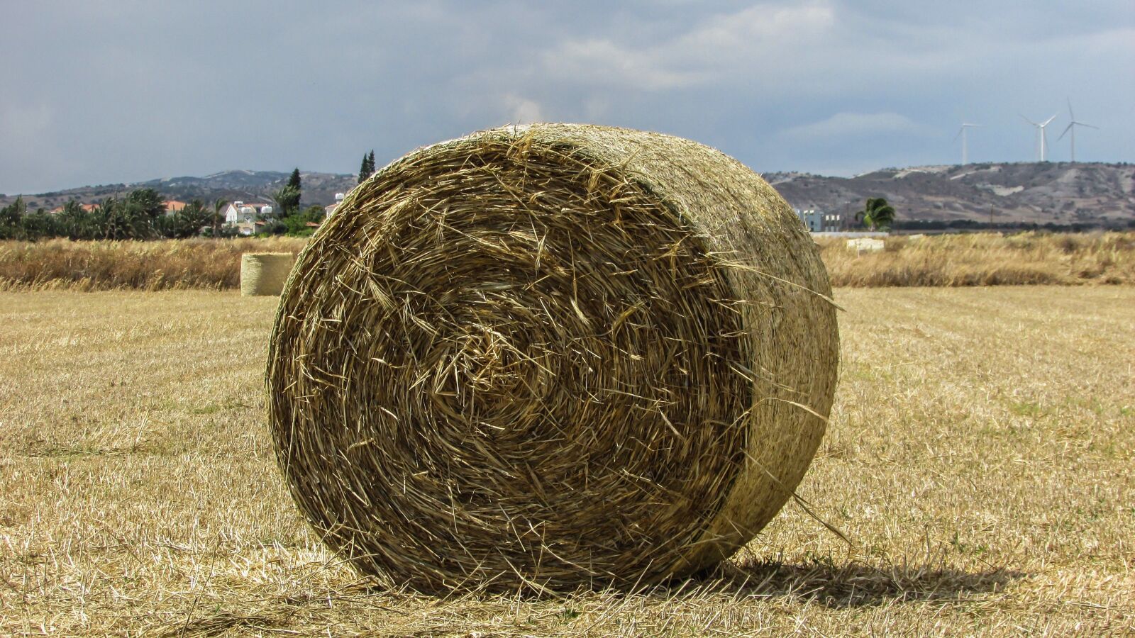 Canon PowerShot SX400 IS sample photo. Hay ball, hay, forage photography