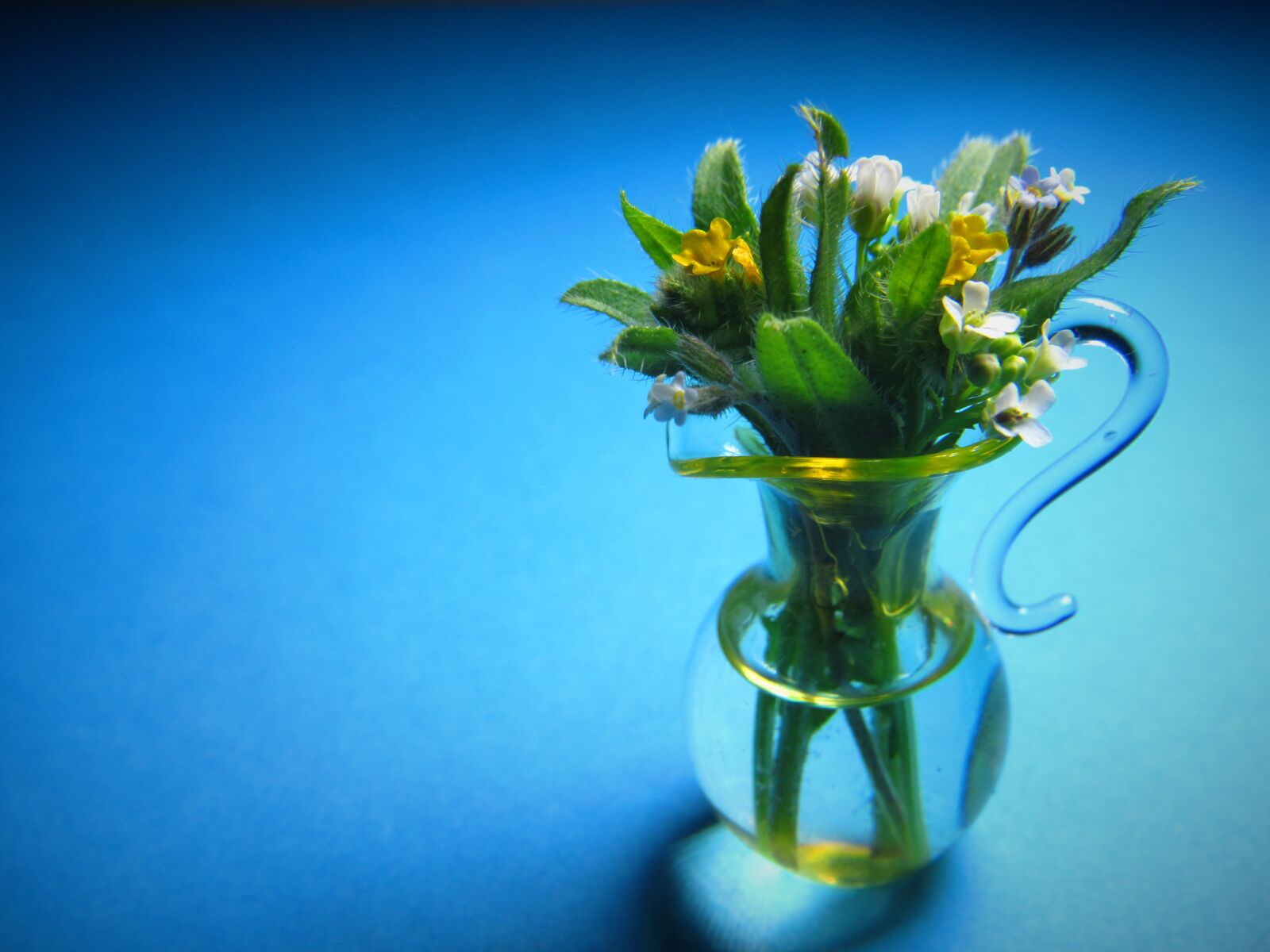 Canon PowerShot SX530 HS sample photo. Mini, bouquet, small photography