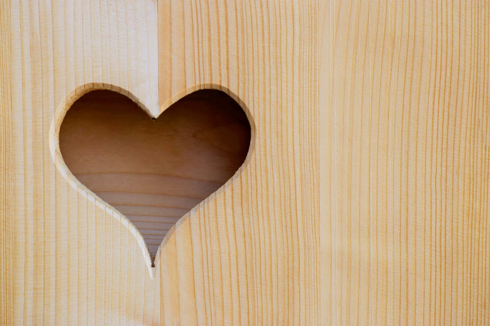 Nikon D5300 sample photo. Wood, heart, cut out photography