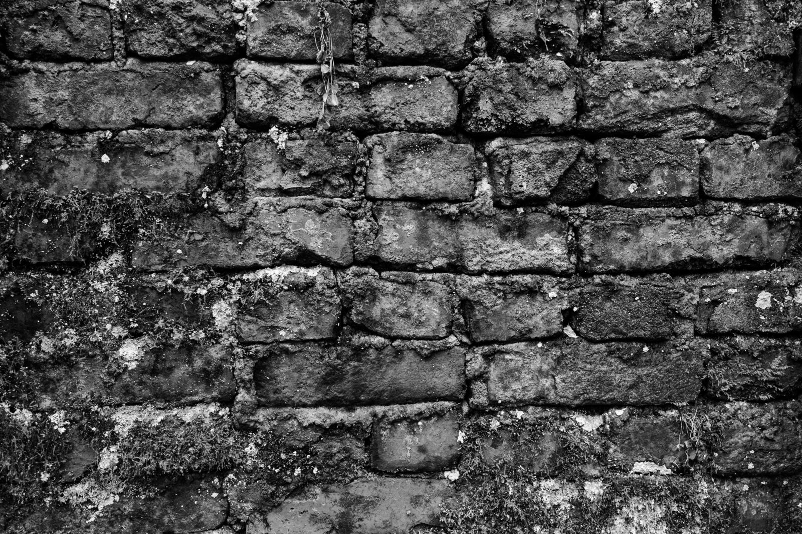 Canon EOS 7D + Canon EF-S 24mm F2.8 STM sample photo. Black white, wall, dark photography