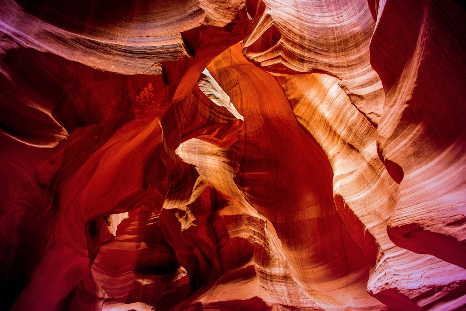 Nikon D600 sample photo. Nature, landscape, america photography