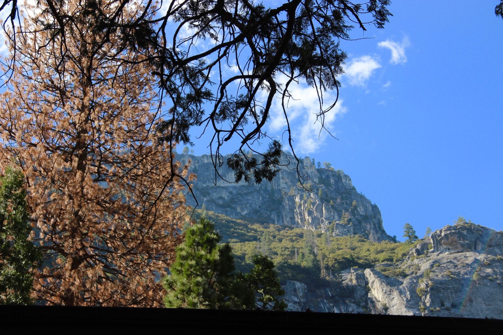 Canon EOS 600D (Rebel EOS T3i / EOS Kiss X5) sample photo. Yosemite valley, mountains, landscape photography