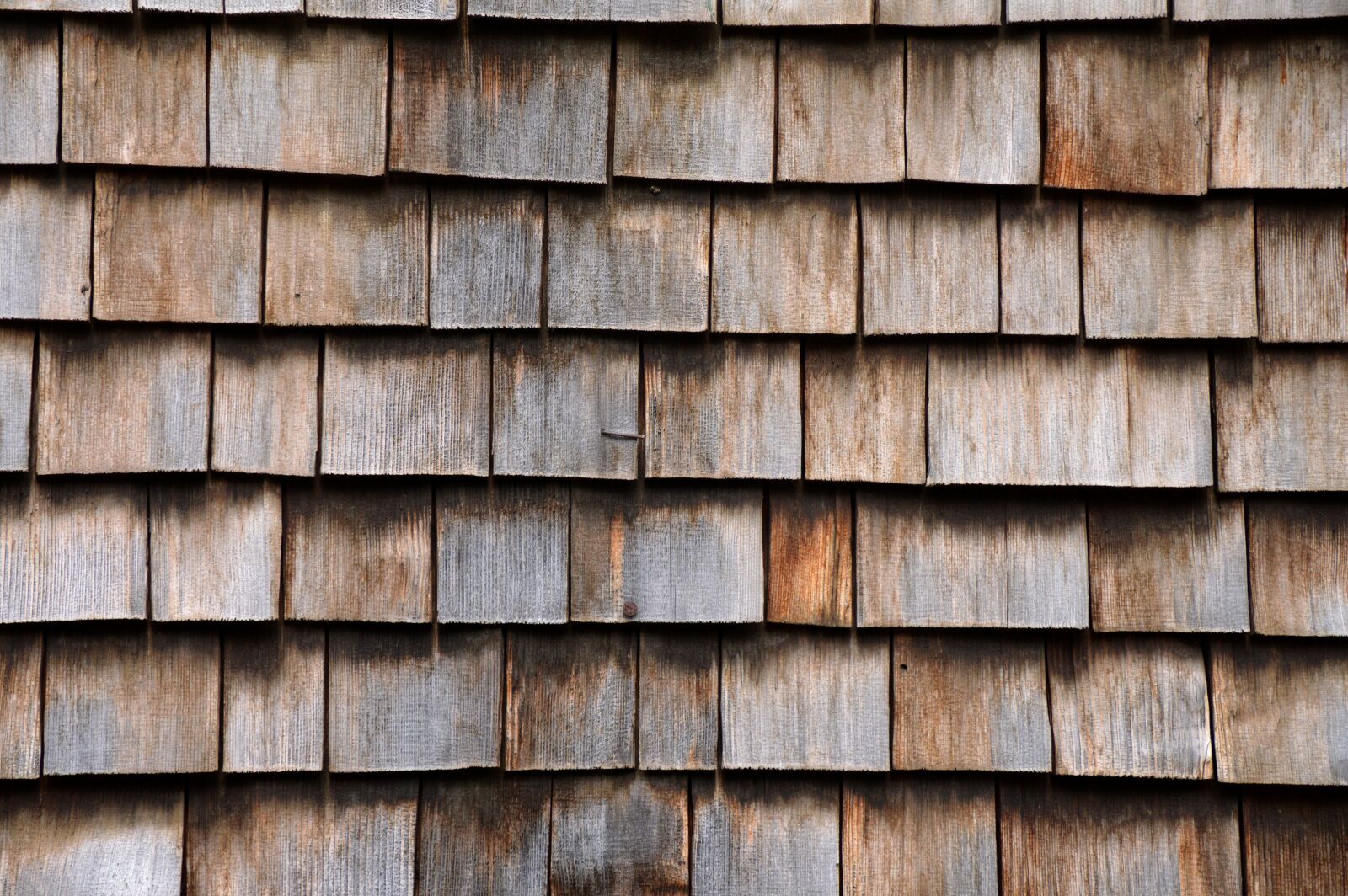 Nikon D3200 sample photo. Texture, wood grain, shingle photography
