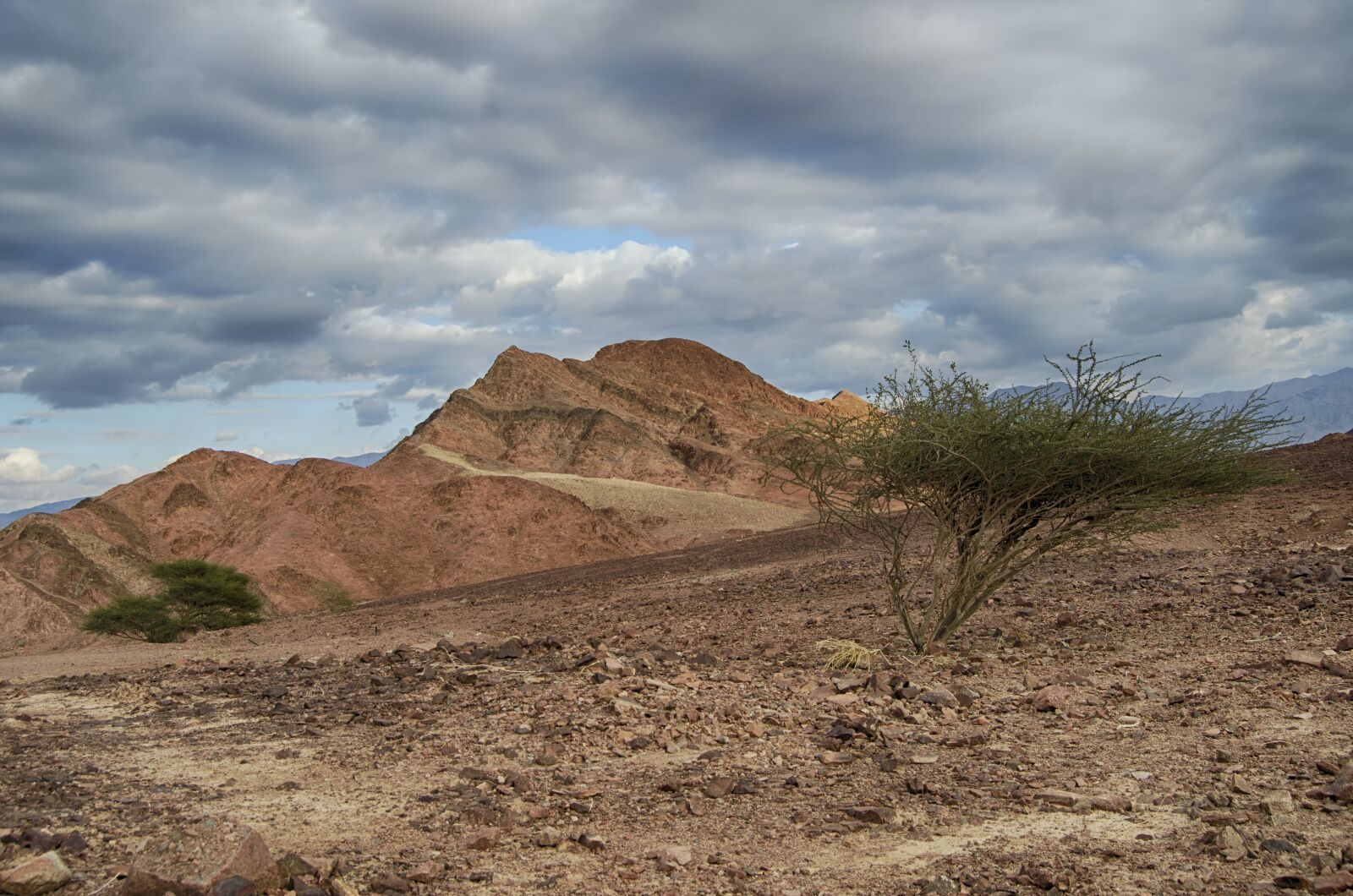 Nikon D5100 sample photo. Negev desert, wilderness wanderings photography