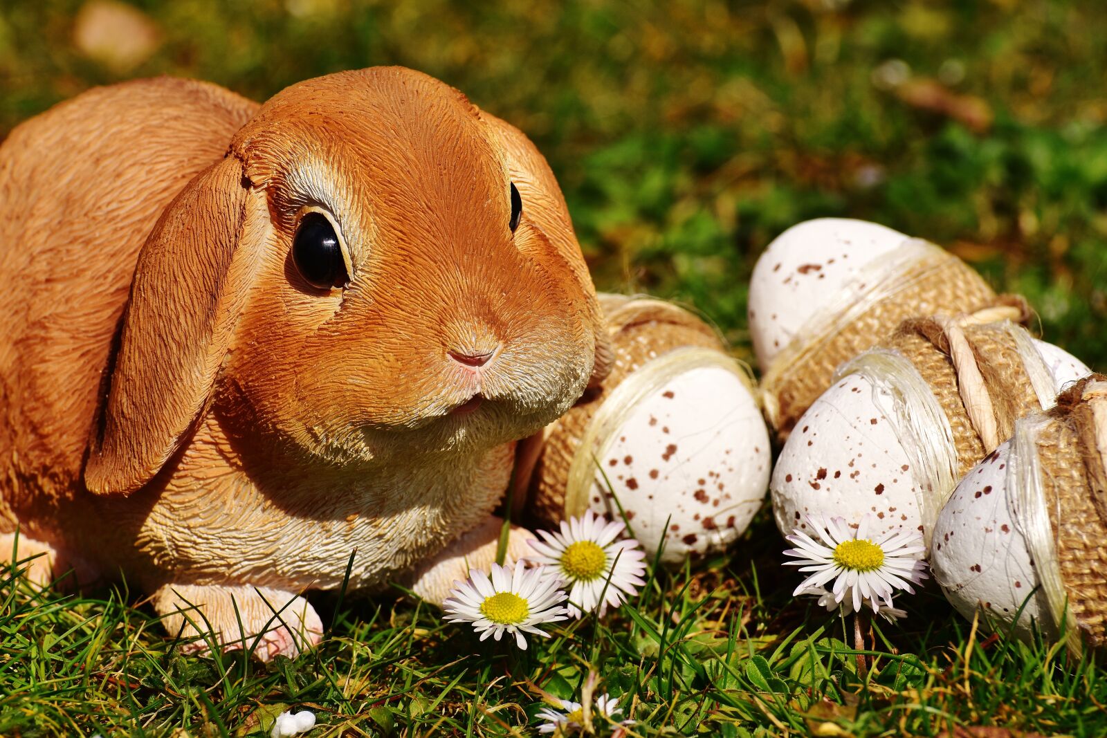 Nikon D7200 sample photo. Easter, easter bunny, spring photography