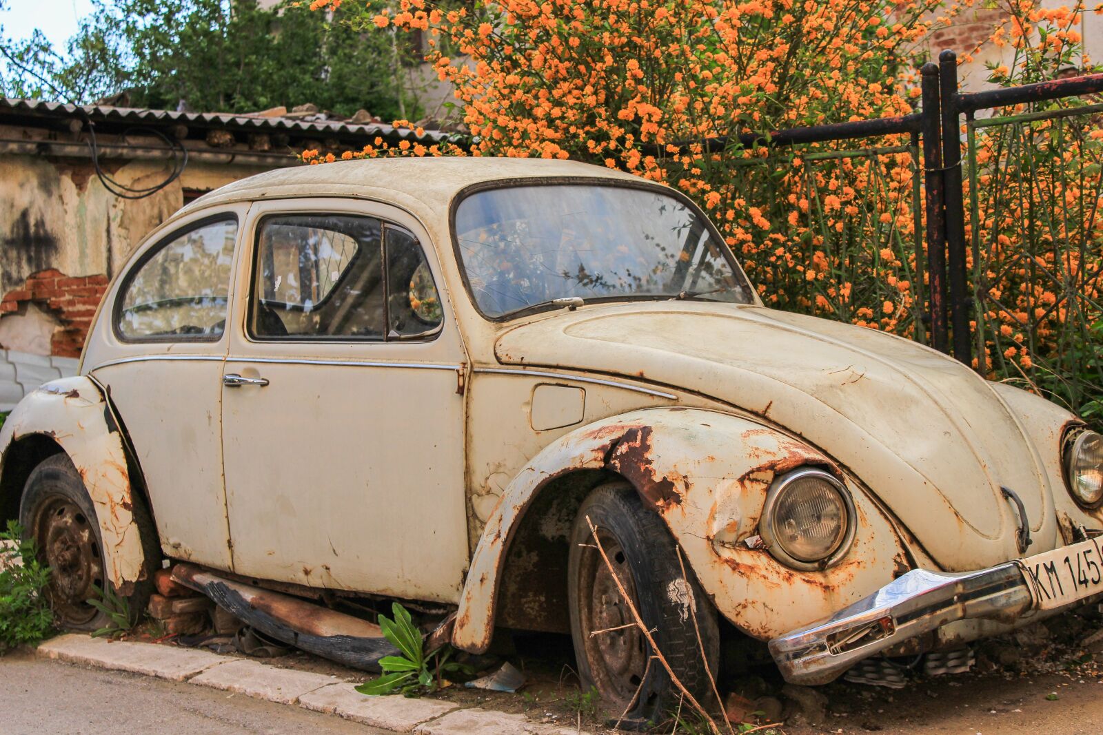 Canon EOS 600D (Rebel EOS T3i / EOS Kiss X5) sample photo. Beetle, volkswagen, vehicle photography