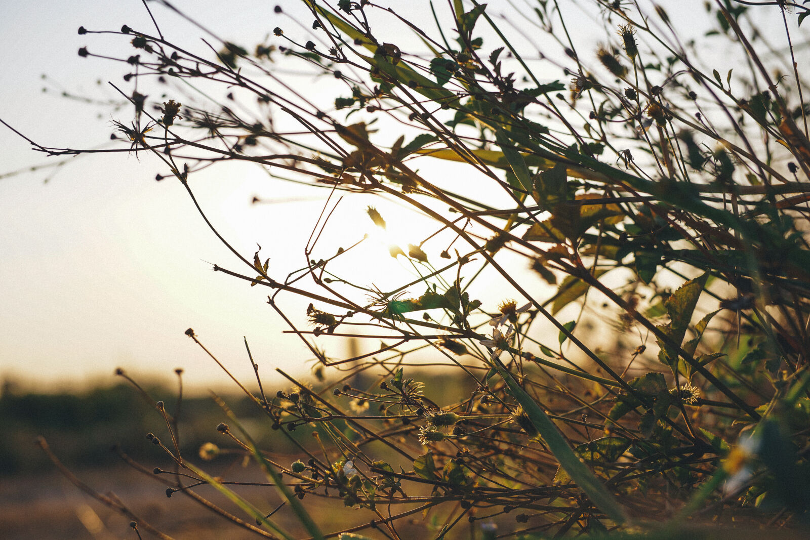 E 32mm F1.8 sample photo