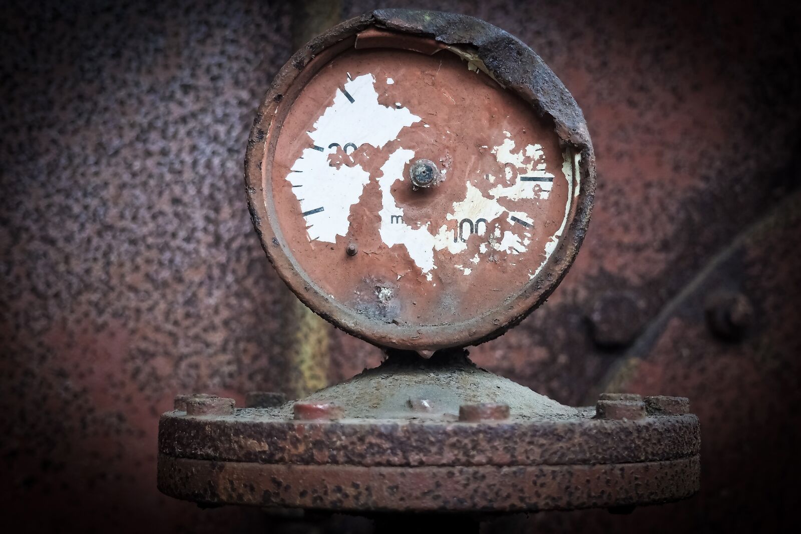 Olympus OM-D E-M10 sample photo. Ad, gauge, scalla photography