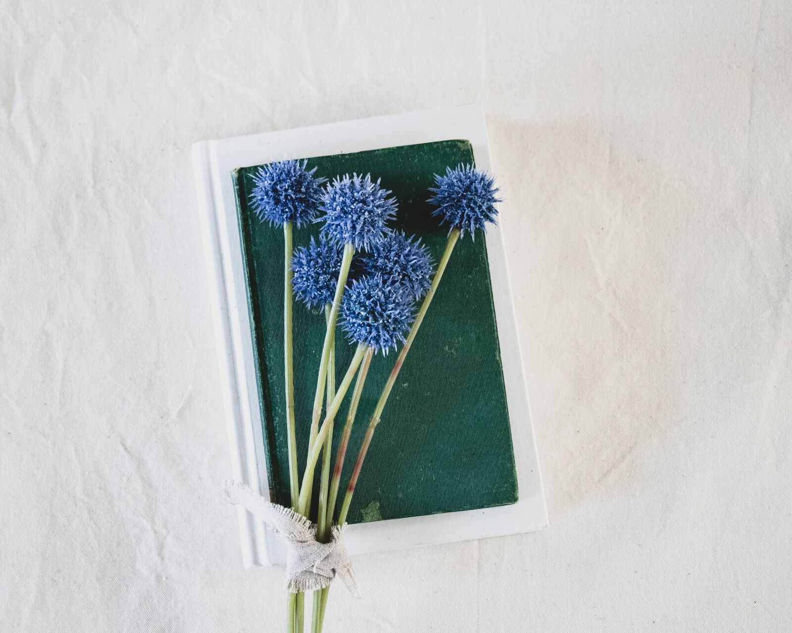 Canon EF-S 18-135mm F3.5-5.6 IS USM sample photo. Books, flowers, reading photography
