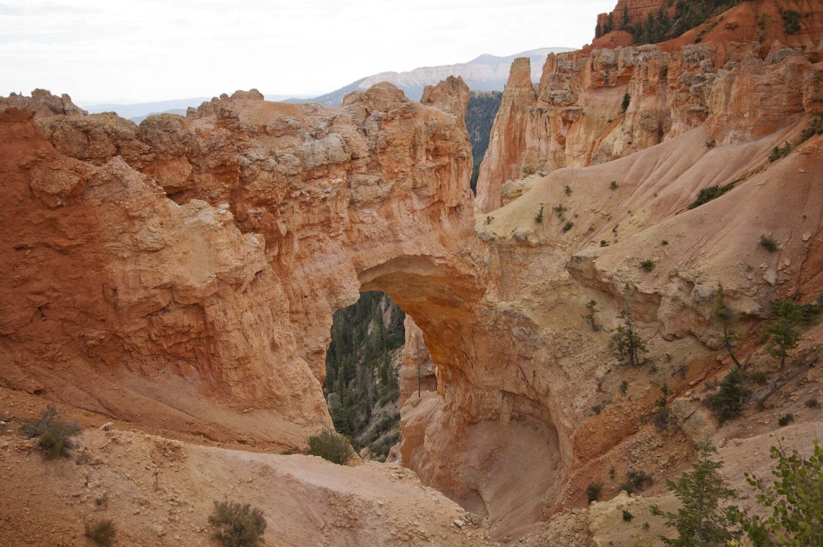 Nikon D70 sample photo. Arch, rock formations, bryce photography