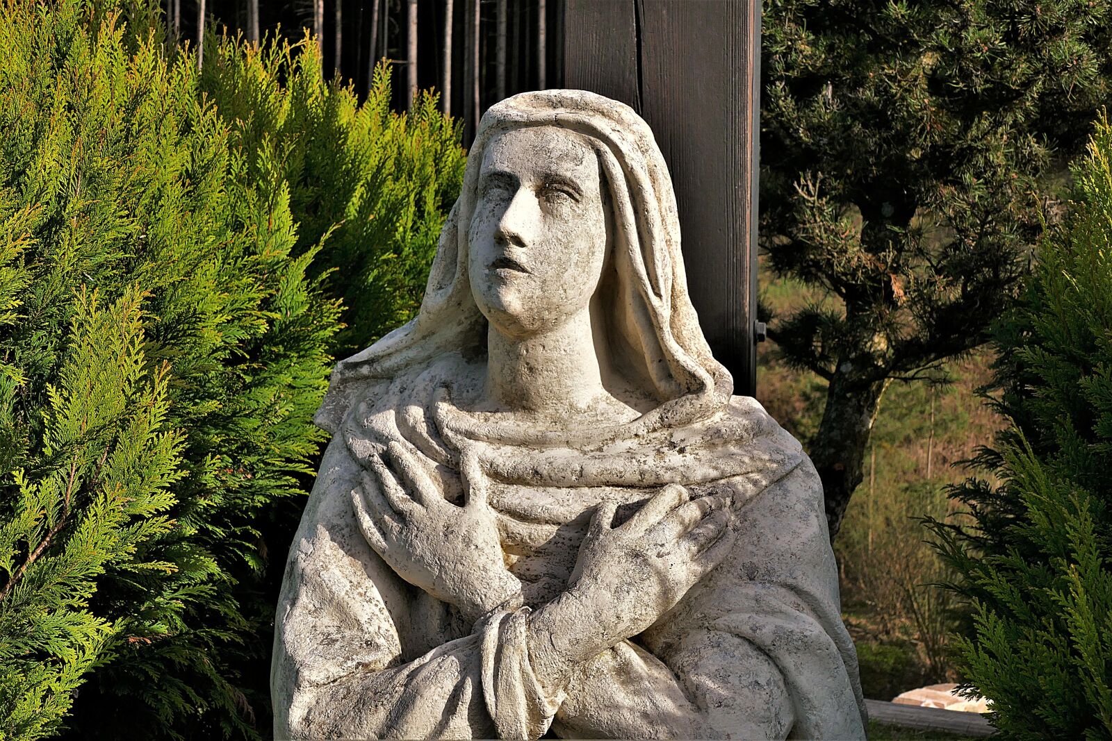Panasonic Lumix DMC-FZ1000 sample photo. Sculpture, statue, statue of photography