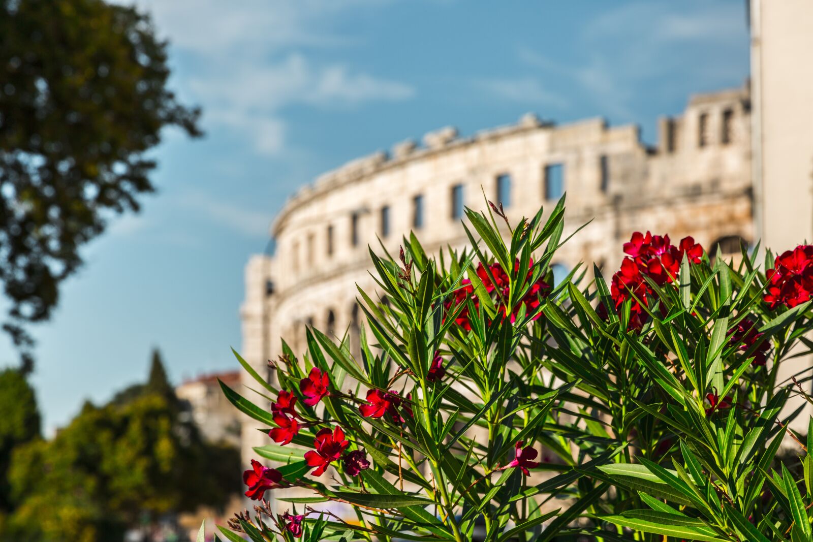 Canon EF 24-105mm F4L IS USM sample photo. Pula, croatia, colosseum photography