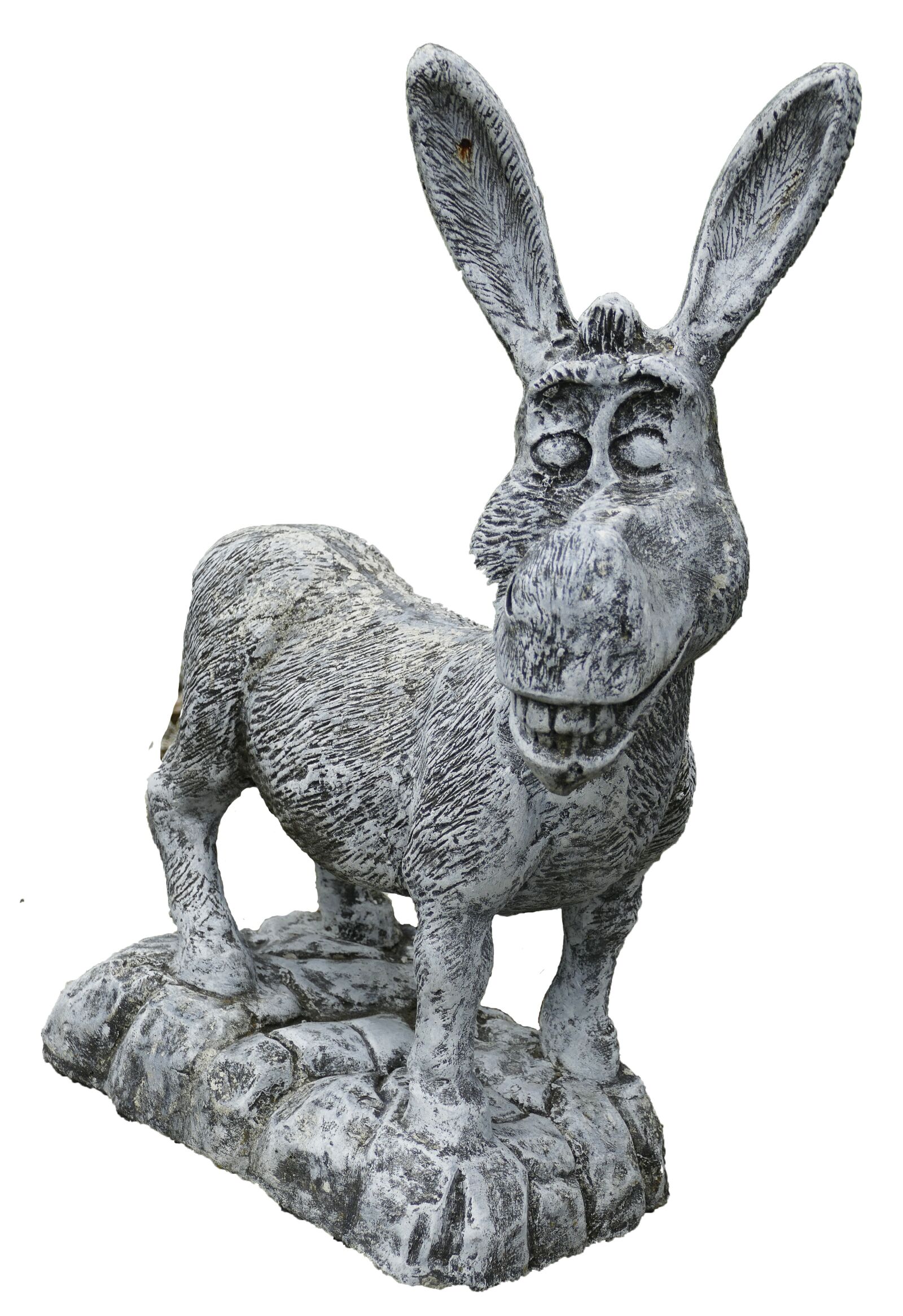 Panasonic Lumix DMC-FZ1000 sample photo. Donkey, figure, funny photography