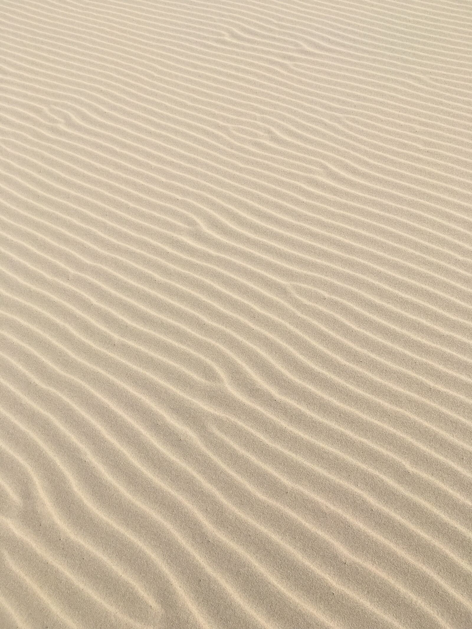 Apple iPhone SE sample photo. Sand, sand lines, beach photography