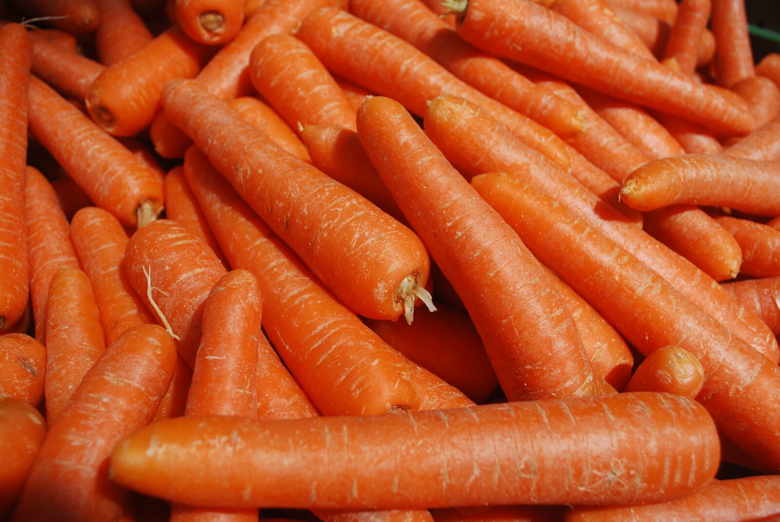 Nikon D60 sample photo. Carrots, healthy, orange photography